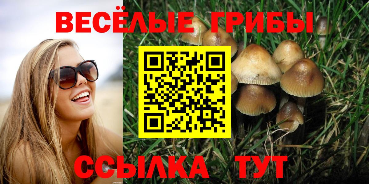 Дербент  Галлюциногенные грибы GOLDEN TEACHER  Вход с VPN 