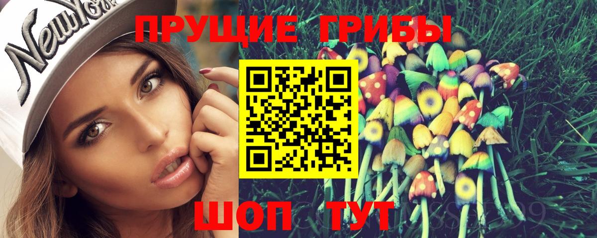 Галлюциногенные грибы прущие грибы Дербент